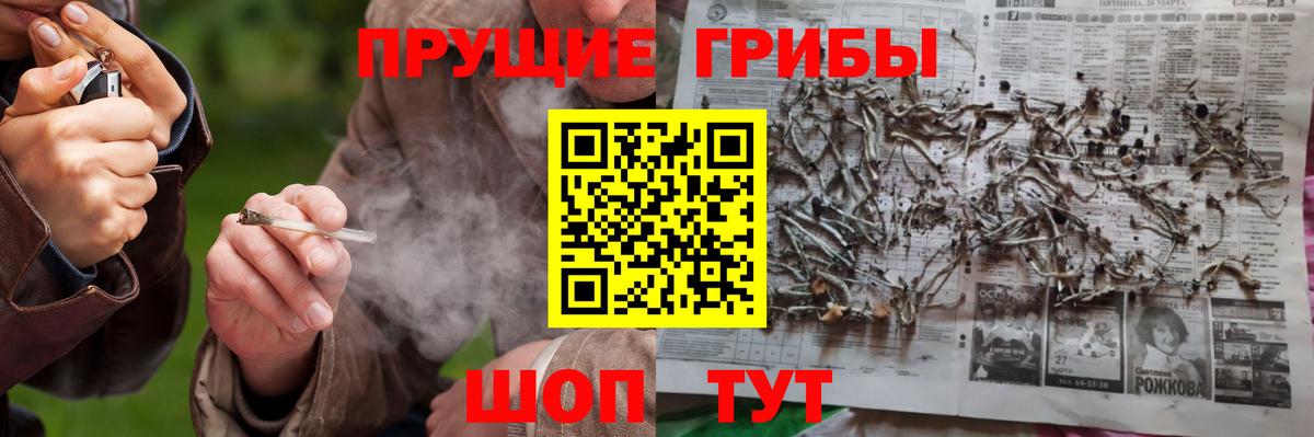Галлюциногенные грибы GOLDEN TEACHER  Вход с VPN  Сертолово 